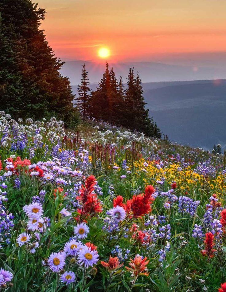 Whispers of Dawn Floral Array